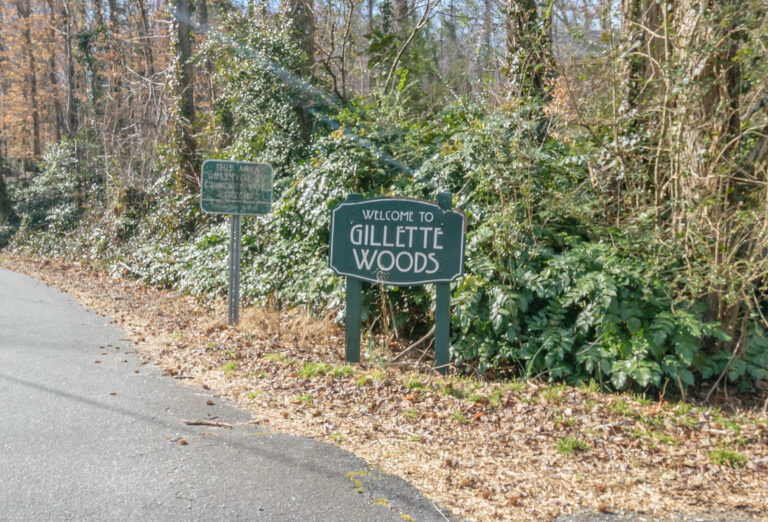 Gillette Woods